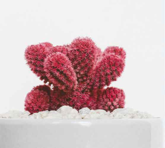 一秒发1000条手机号的软件