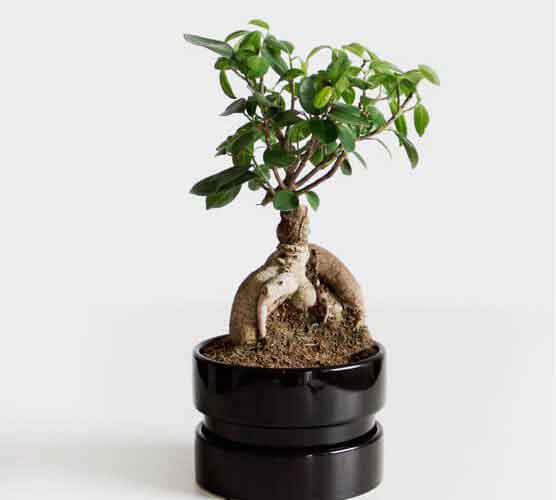 一秒发1000条手机号的软件